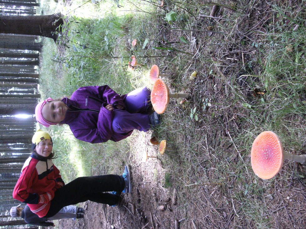 DSCF6550