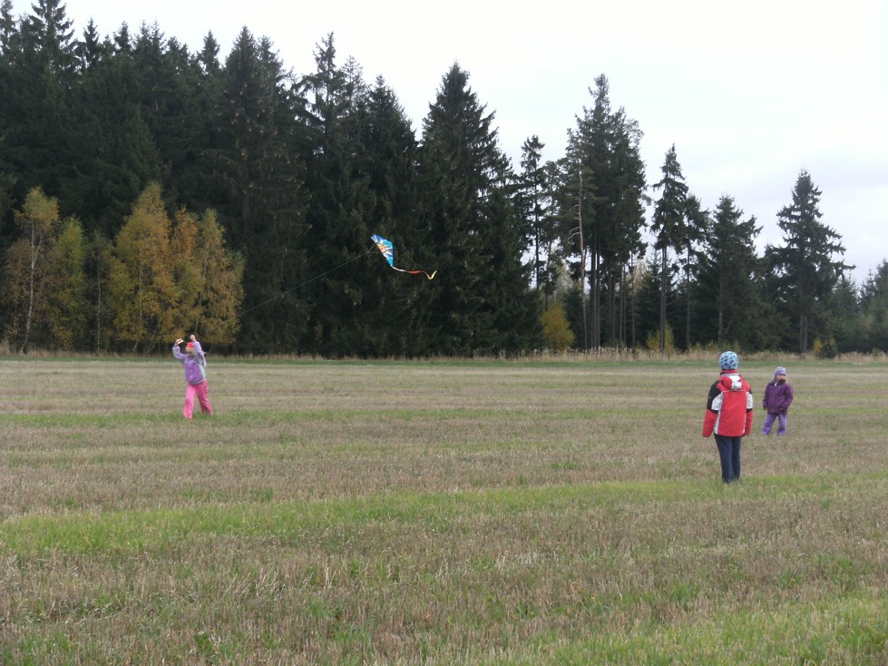 DSCF6665
