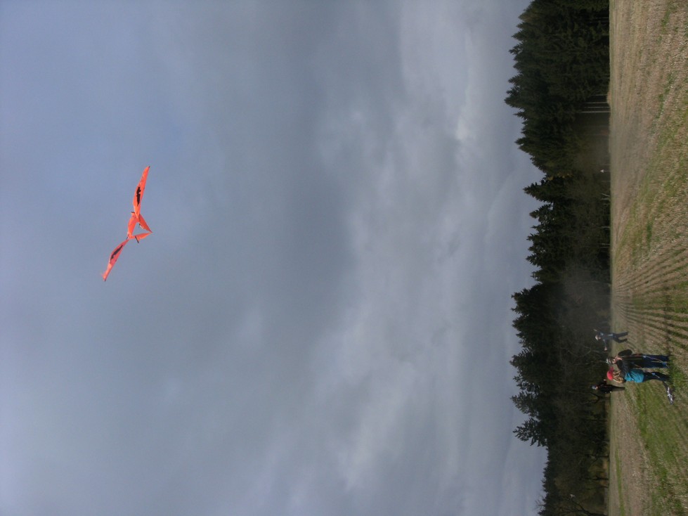 DSCF6687