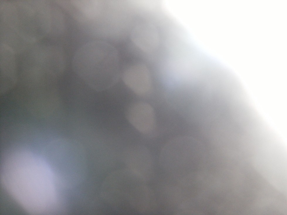DSCF6783