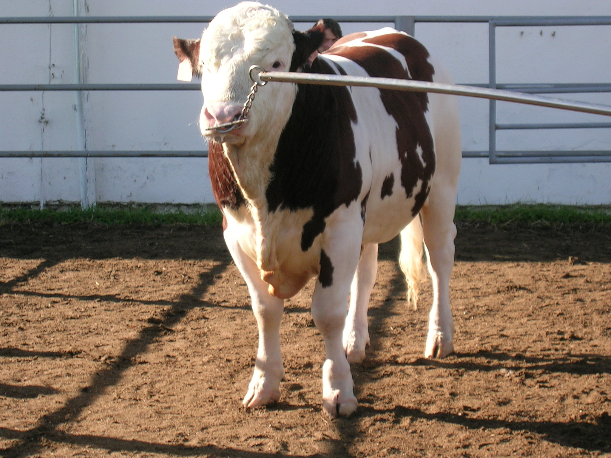 DSCN5814.JPG