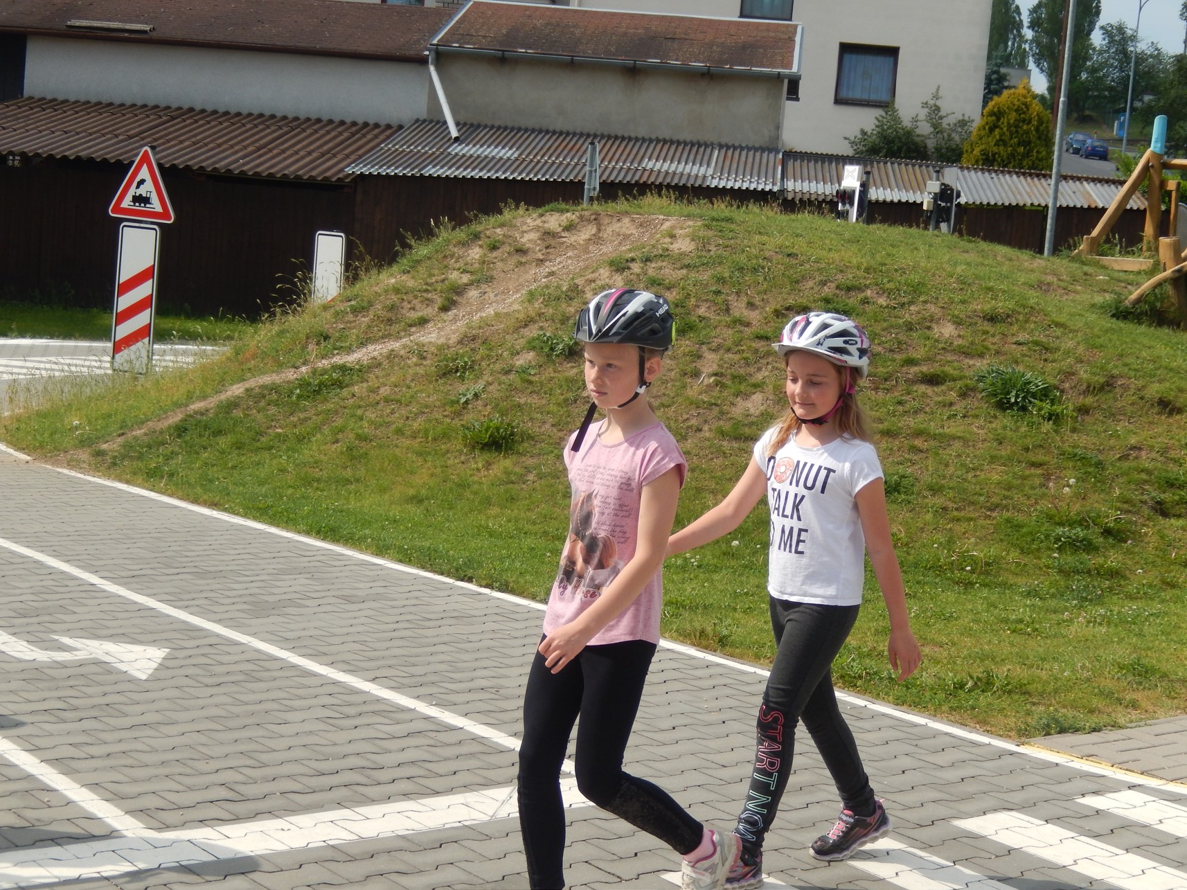 DSCN6344