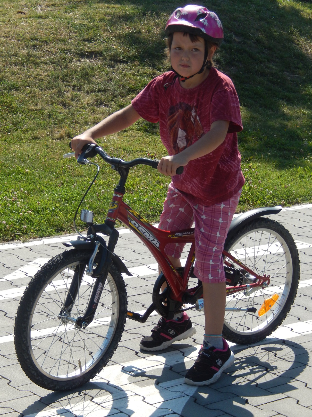 DSCN8724