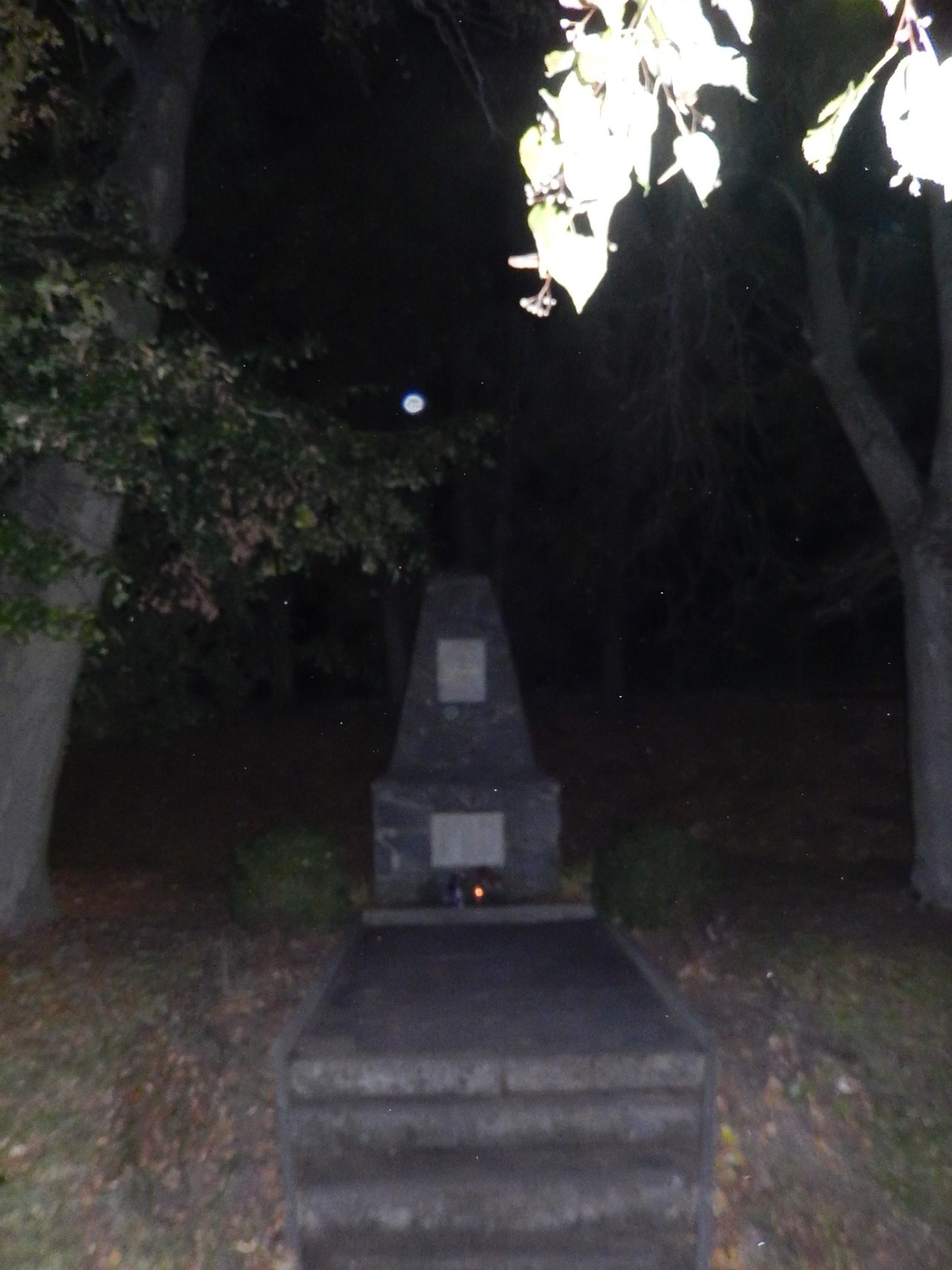 DSCN9376
