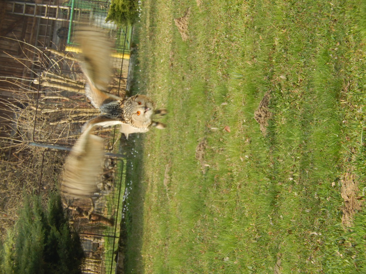 DSCN0076