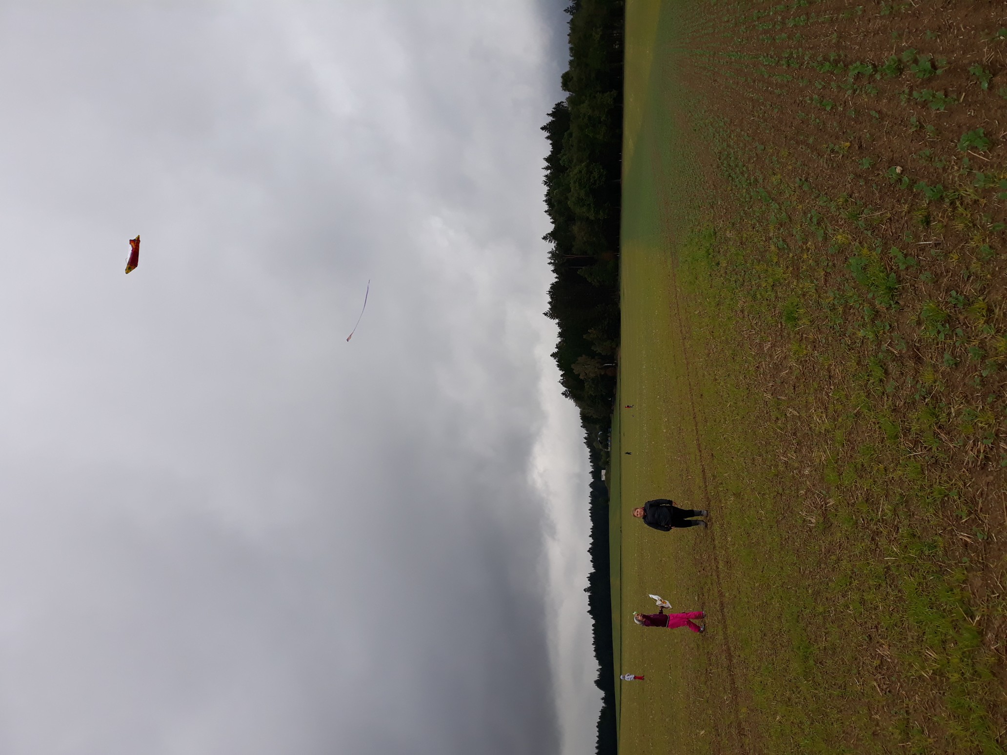 20190925_113302
