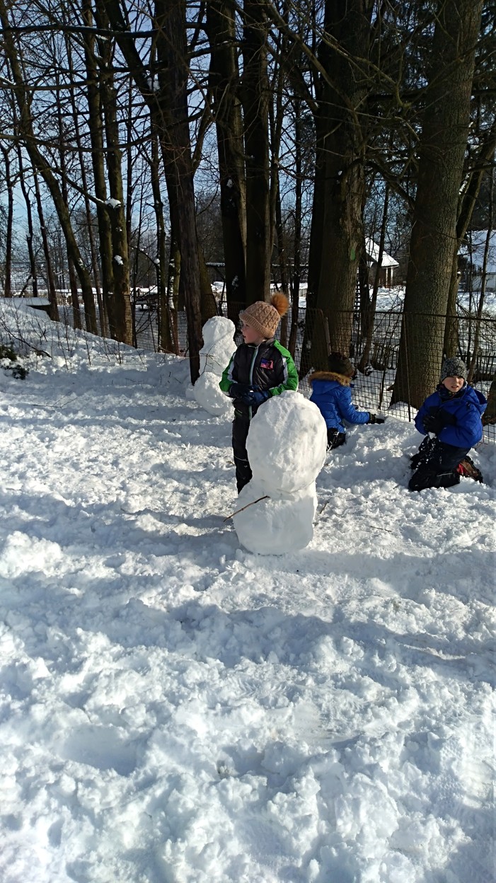 IMG_20210120_115639