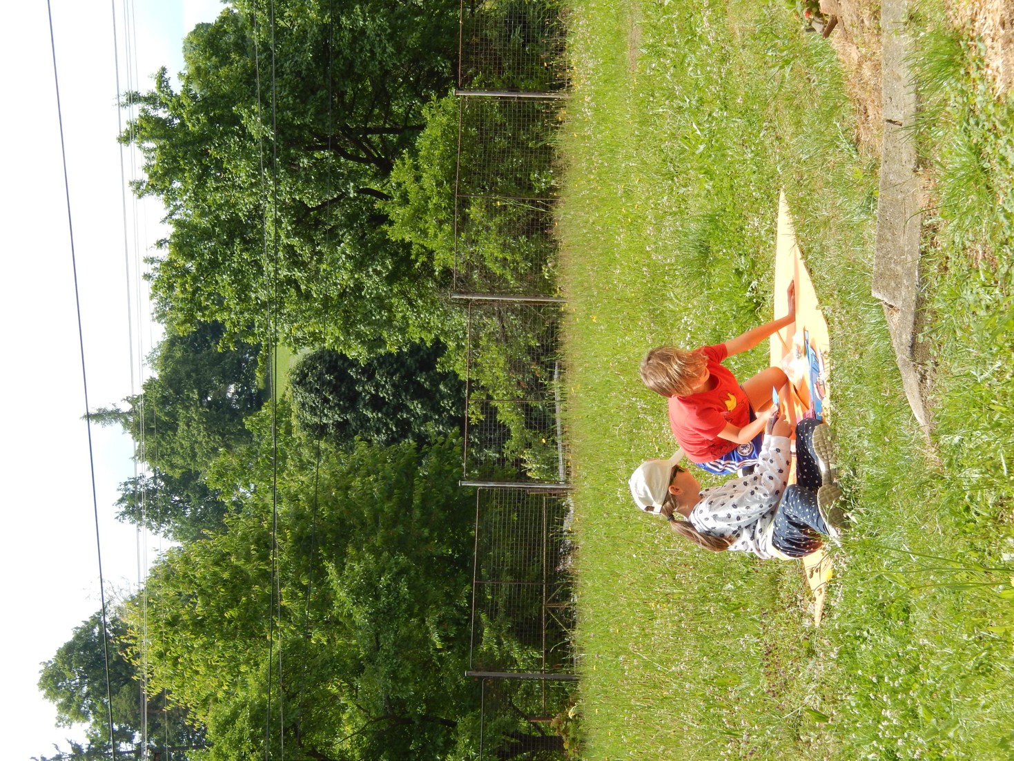 DSCN6377